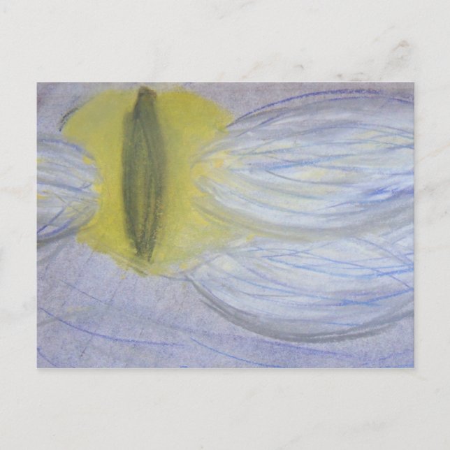 Cartão Postal lua de olho no gato (Frente)