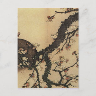 Cartão Postal Lua e Flores