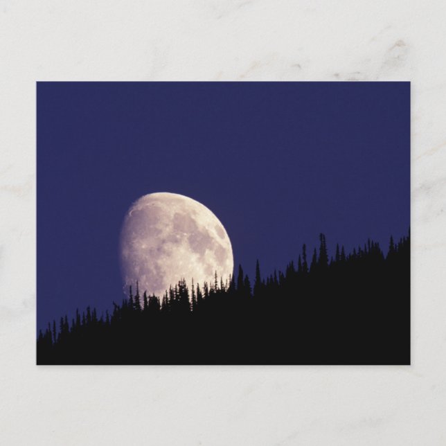 Cartão Postal Lua & Floresta | Parque Nacional Glacier Montana (Frente)