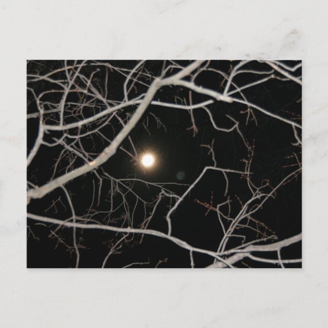 Cartão postal Lua na Web (Frente)