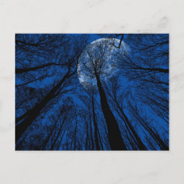 Cartão Postal Lua no Céu Noturno