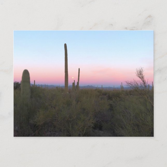 Cartão Postal Lua Rosa sobre Saguaro ao Nascer do Sol (Frente)