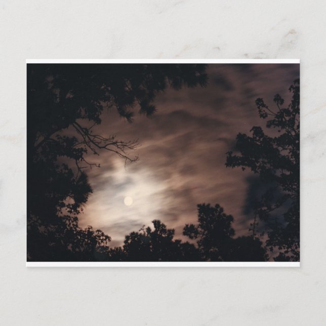 Cartão Postal Lua sobre Charleston (Frente)