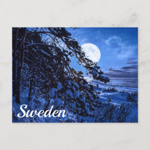 Cartão Postal Lua sobre o pinheiro-de-neve e costa-marítima em p