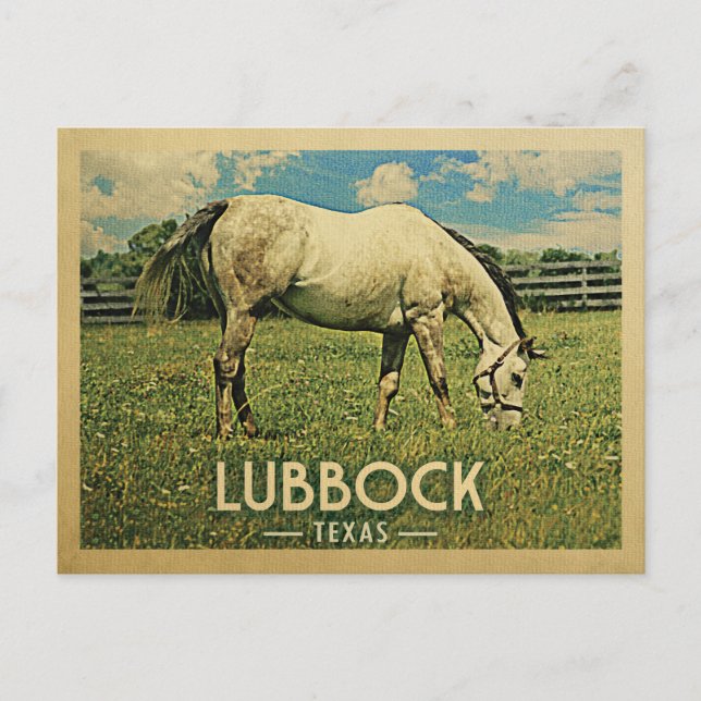 Cartão Postal Lubbock Texas Postcard Horse Fazenda - Viagens vin (Frente)