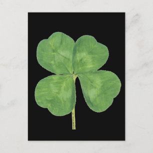 Cartão Postal Lucky Quatro Folhas Clover Shamrock