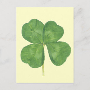 Cartão Postal Lucky Quatro Folhas Clover Shamrock