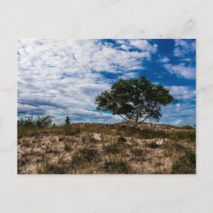 Cartão Postal Ludington State Park, Michigan