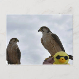 Cartão Postal Lugar Errado Hora Errada 