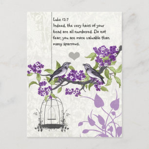 Cartão Postal Luke 12:7 você é mais valioso que muitos pardais