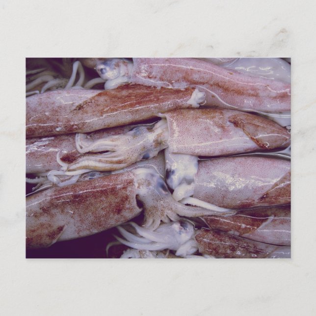 Cartão Postal Lula (Frente)