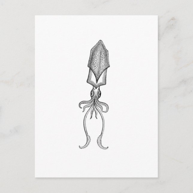 Cartão Postal Lula (Frente)