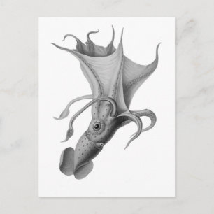 Cartão Postal Lula Vintage