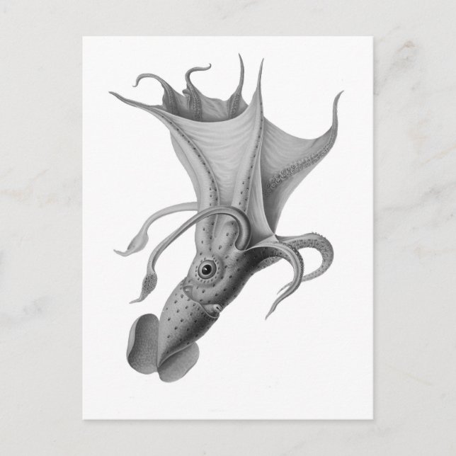 Cartão Postal Lula Vintage (Frente)