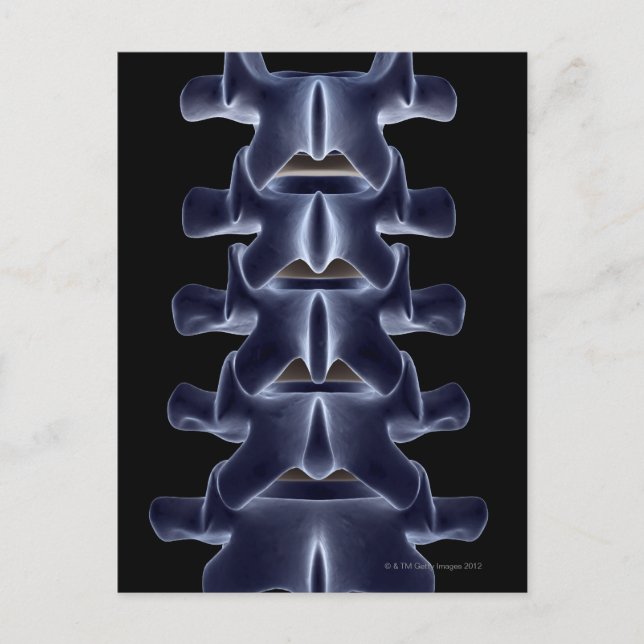 Cartão Postal Lumbar Vertebra 2 (Frente)