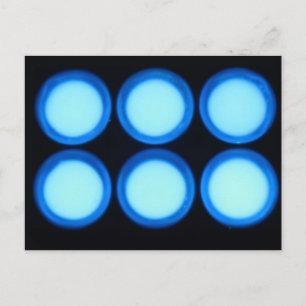 Cartão Postal Luminescência Azul