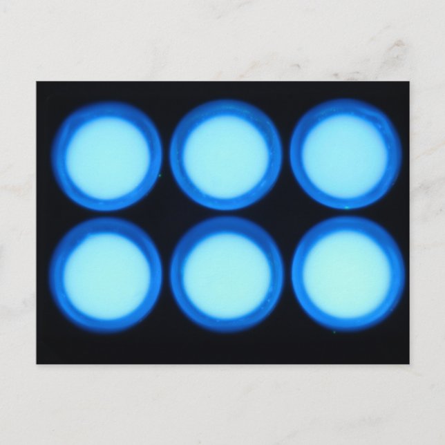 Cartão Postal Luminescência Azul (Frente)