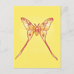 Cartão Postal Luna Moth Yellow Orange Witchy Magical Insect
