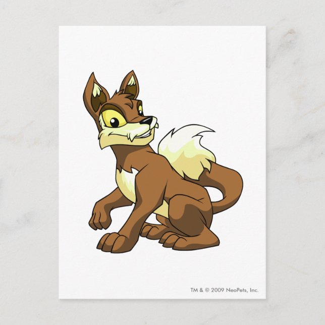 Cartão Postal Lupe Brown (Frente)