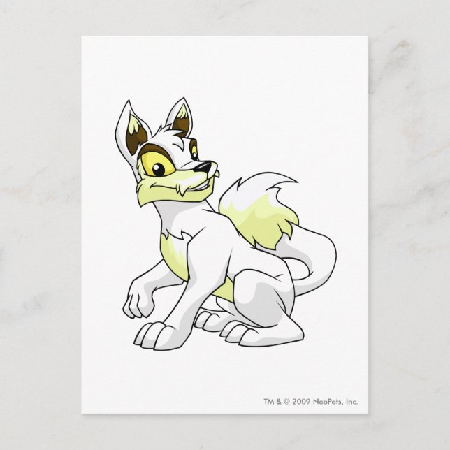 Cartão Postal Lupe White (Frente)