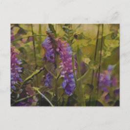 Cartão Postal Lupina do Ártico púrpura e verde