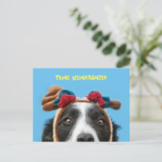 Cartão Postal Lustiger Border Collie wünscht frohe Weihnachten