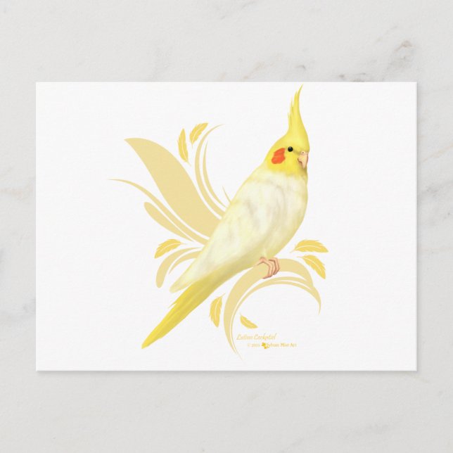 Cartão Postal Lutino Cockatiel (Frente)