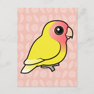 Cartão Postal Lutino Peach Face Lovebird
