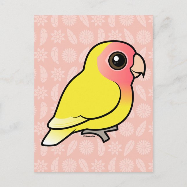 Cartão Postal Lutino Peach Face Lovebird (Frente)