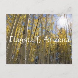 Cartão Postal Luz através das árvores Aspen. Flagstaff, Arizona