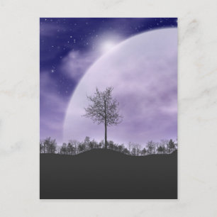 Cartão Postal Luz da Lua Estrelas Céu Árvores Caprichoso Persona