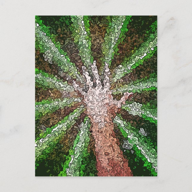 Cartão Postal Luz de captura (Frente)