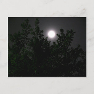 Cartão Postal Luz de lua