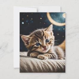 Cartão Postal Luz do gatinho