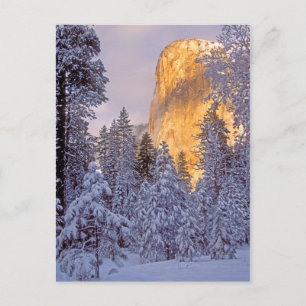 Cartão Postal Luz do sol de inverno em El Capitã em Yosemite