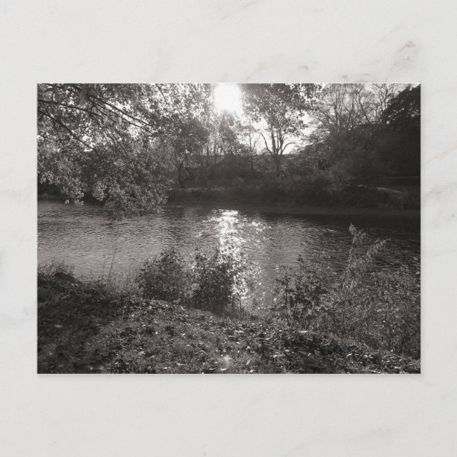 Cartão Postal Luz do sol sobre os Taff, Bute Park, Cardiff (Frente)