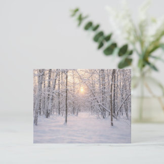 Cartão Postal Luz_dourada_de_inverno