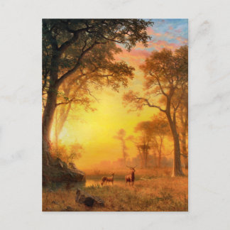 Cartão Postal Luz na Floresta por Albert Bierstadt