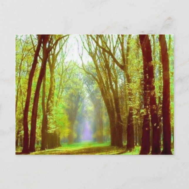 Cartão Postal Luz primavera (Frente)
