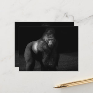 Cartão Postal Luz sobre a Força – Gorila Silverback