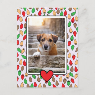 Cartão Postal Luzes Coloridas de Natal Cachorro