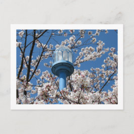 Cartão Postal Luzes das Ruas de Tóquio: Den'en Chofu