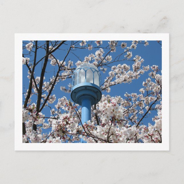 Cartão Postal Luzes das Ruas de Tóquio: Den'en Chofu (Frente)