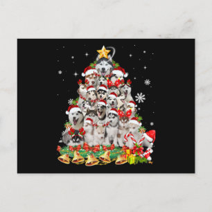 Cartão Postal luzes de árvore de natal do husky siberiano   cach