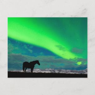 Cartão Postal Luzes de cavalos e Nortes, Yukon