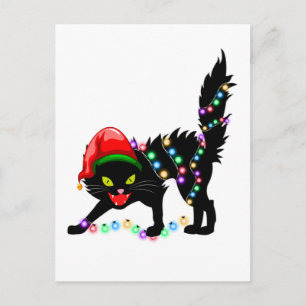 Cartão Postal Luzes de Natal de Gato Preto