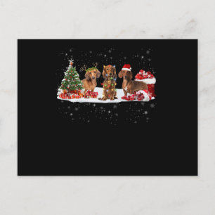 Cartão Postal luzes de natal do dachshund presente para ela