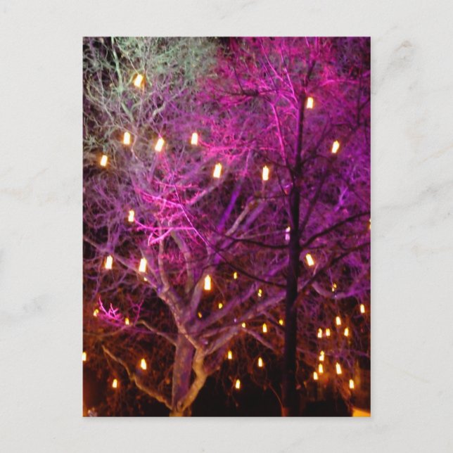 Cartão Postal Luzes de Natal em Colônia (Frente)