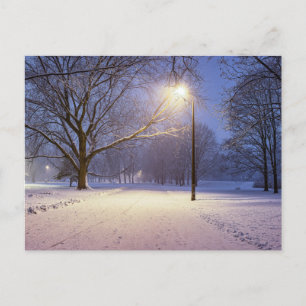 Cartão Postal Luzes de rua e cobertas de árvores de neve