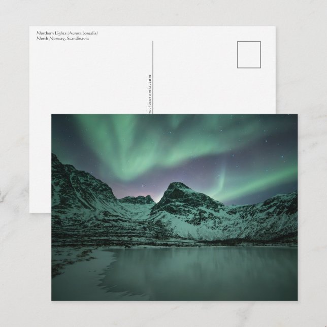 Cartão Postal Luzes do norte (Frente/Verso)